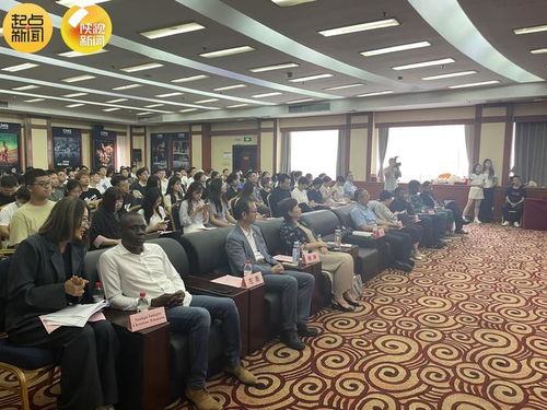 以影为媒，共续中非文化交流互鉴——教育咨询服务的桥梁角色