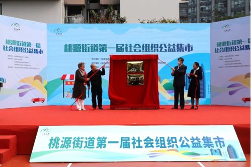 桃源街道首届社会组织公益集市 文化艺术交流点亮社区活力